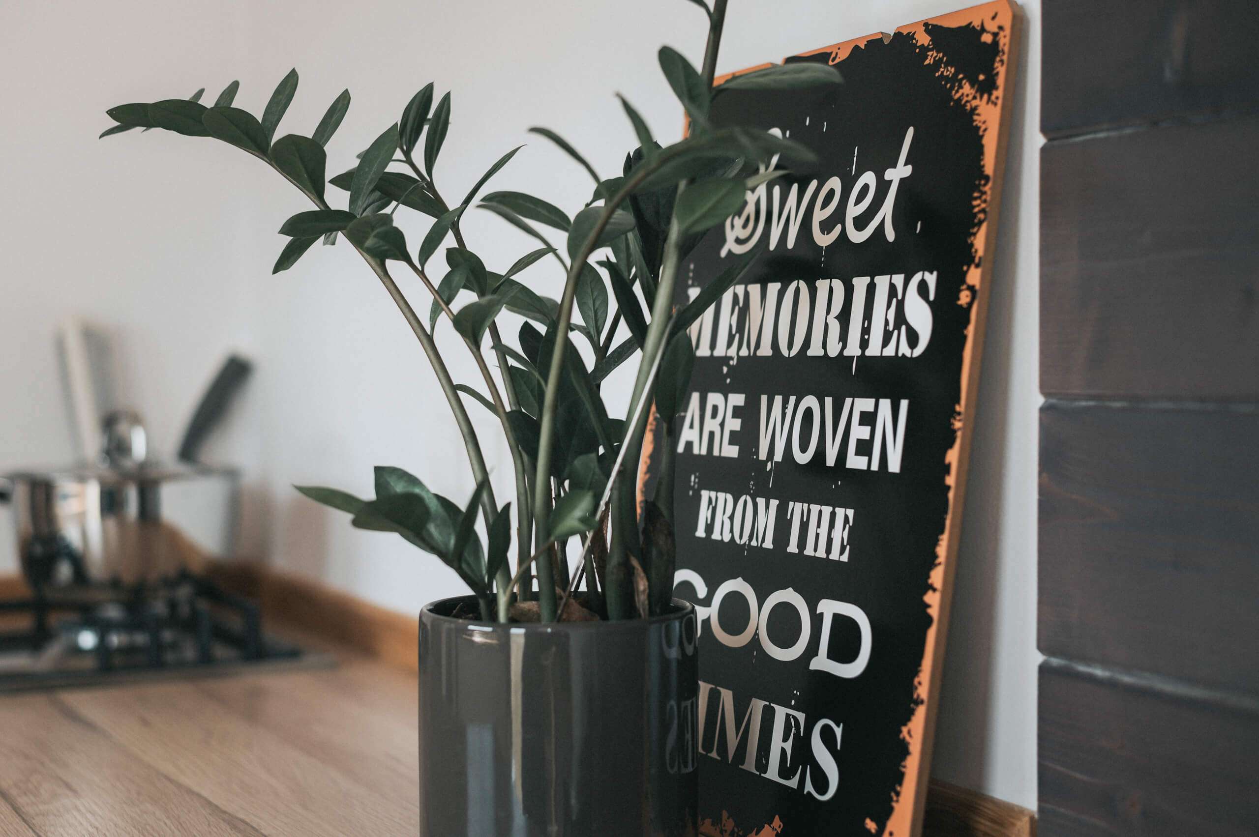 eco-tiny-house-tiny-modern-009