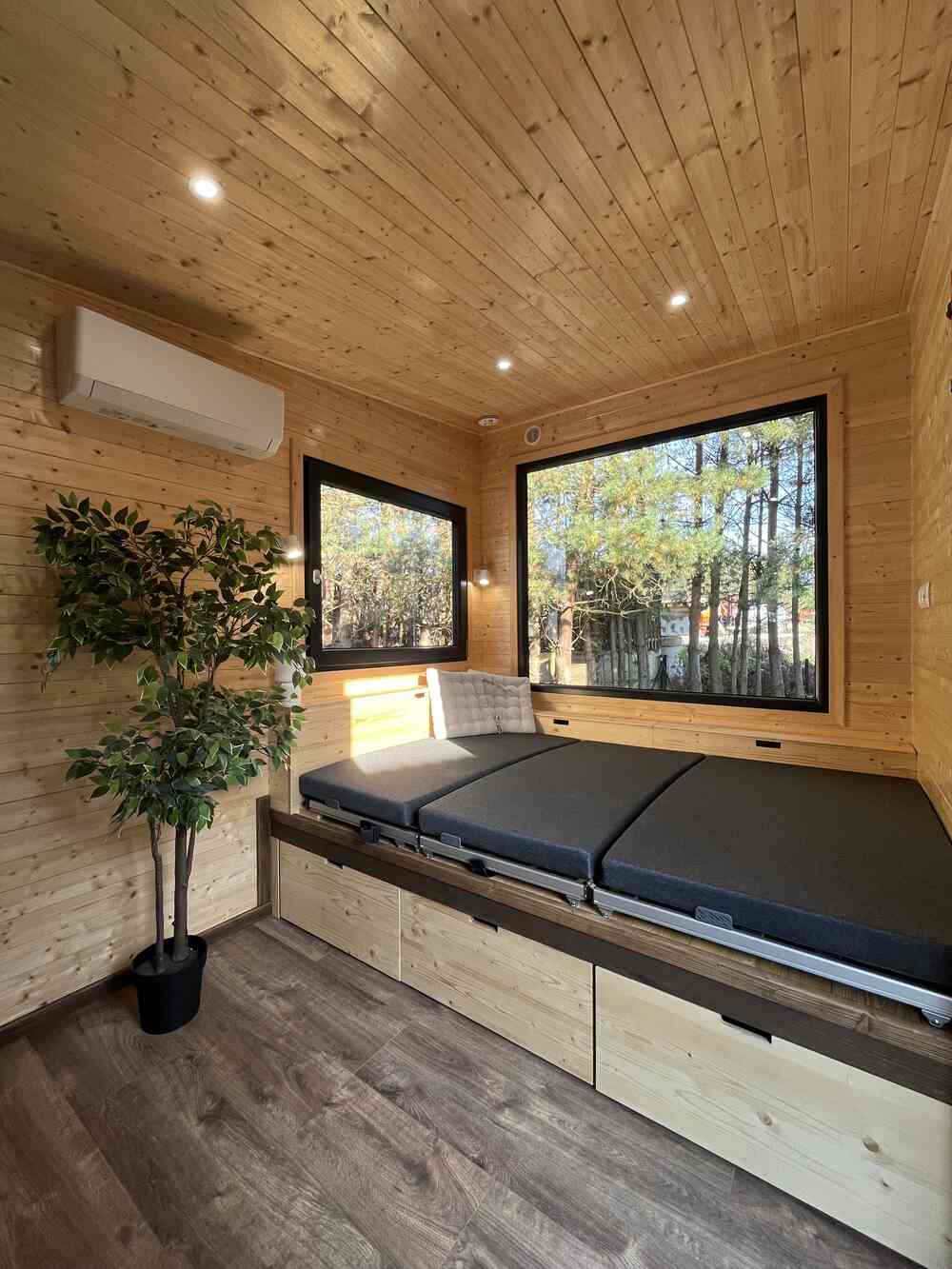 aurora-company-forest-00026