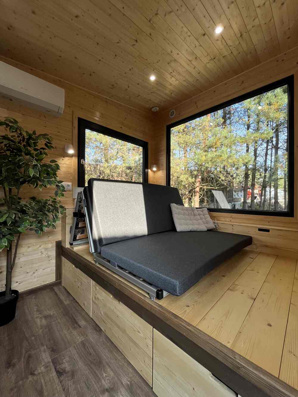 aurora-company-forest-00029