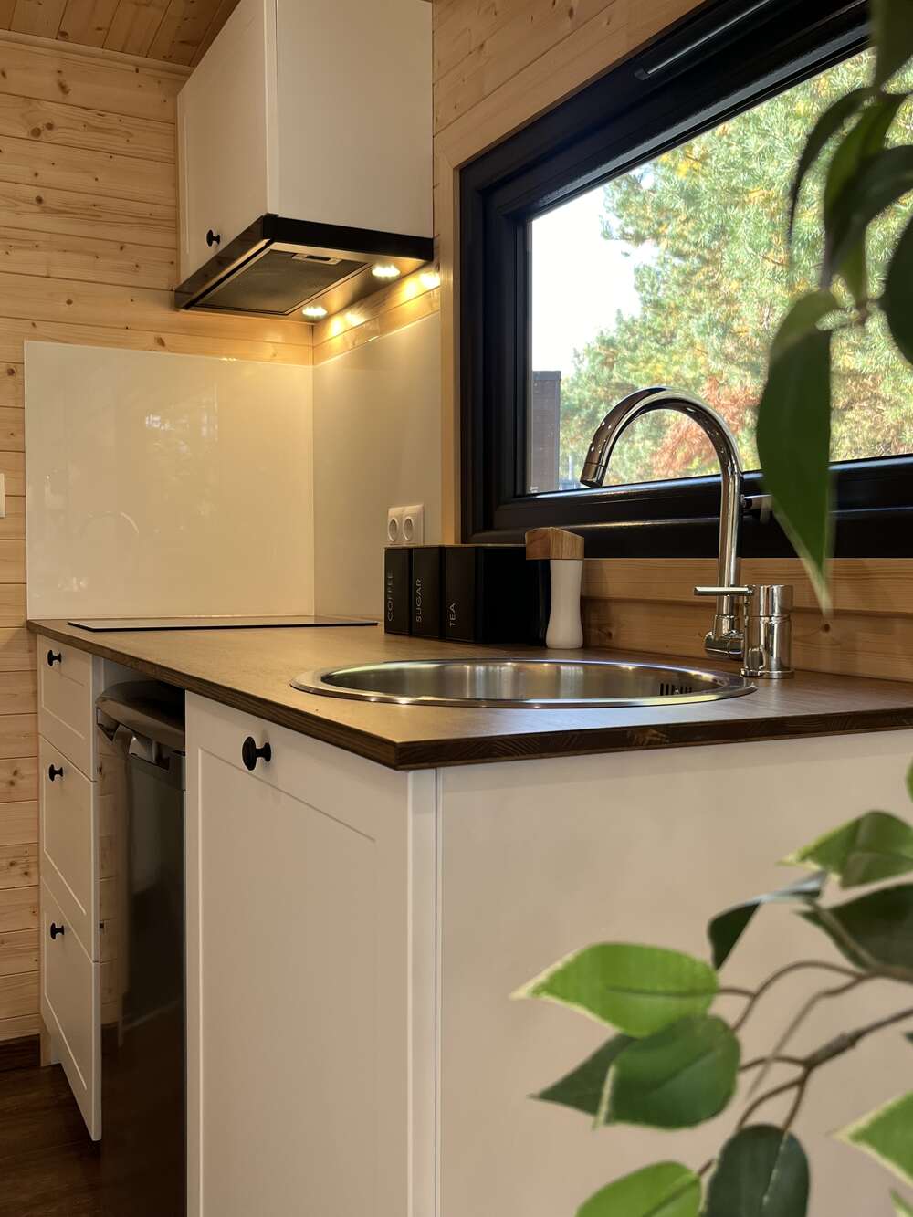 aurora-company-forest-00032