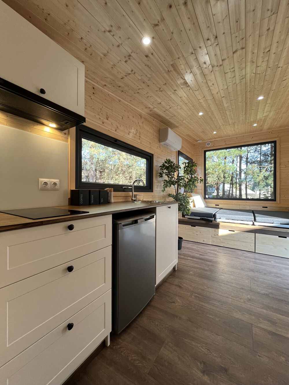 aurora-company-forest-00044