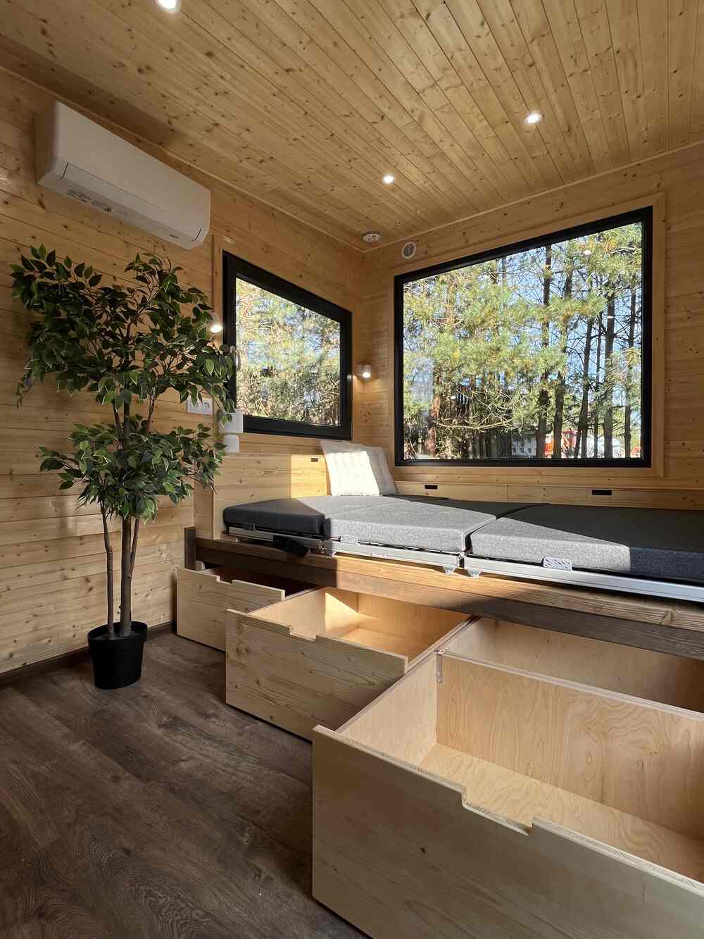 aurora-company-forest-00046