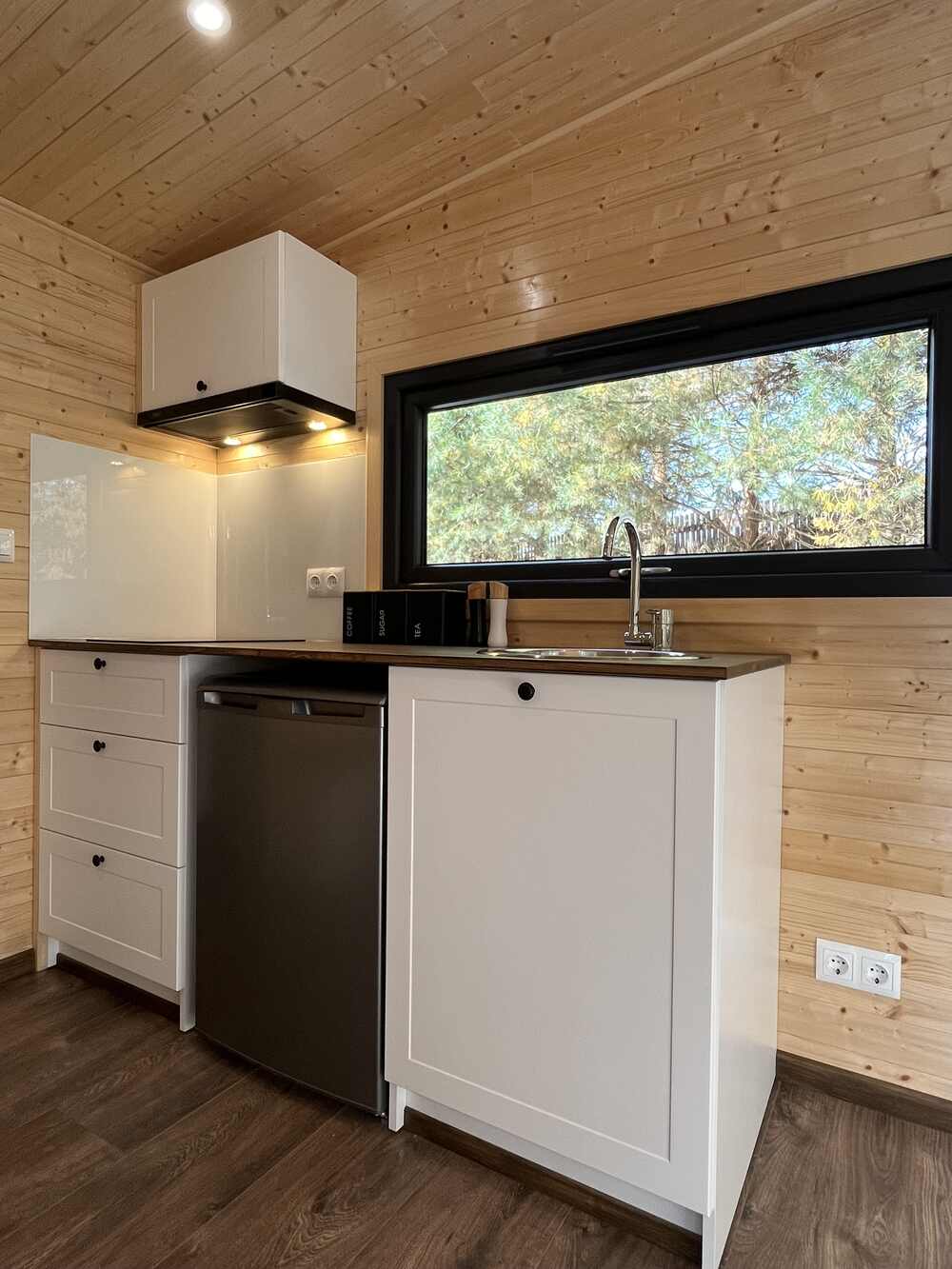 aurora-company-forest-00047