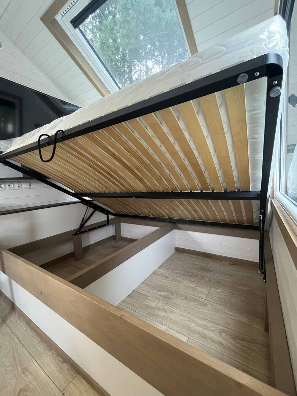 aurora-company-moon-00016